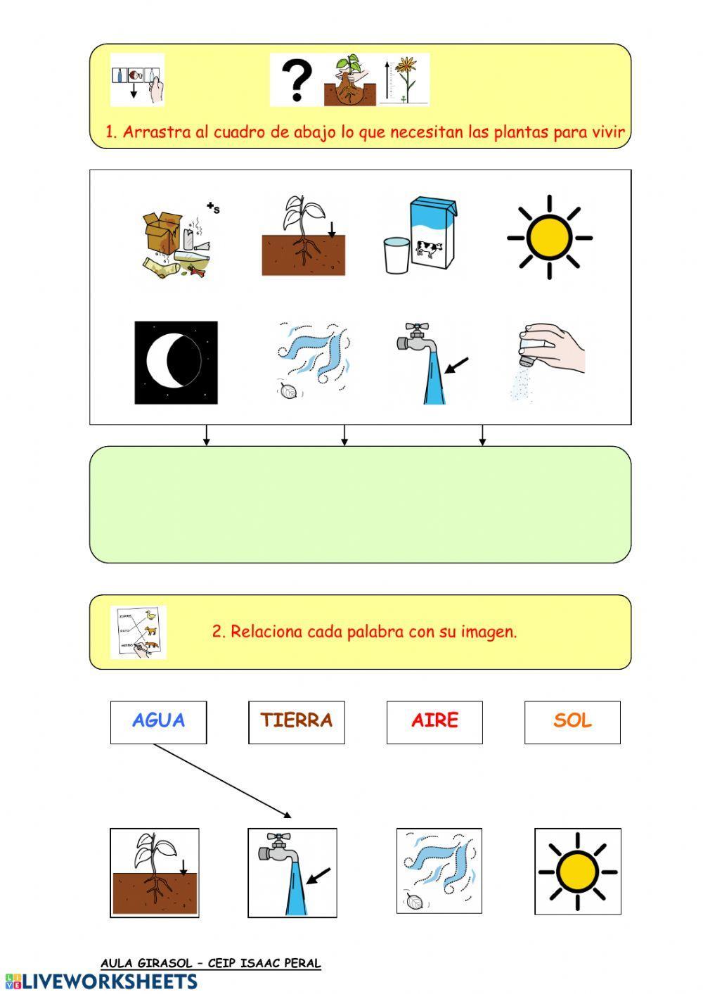 Las plantas necesidades