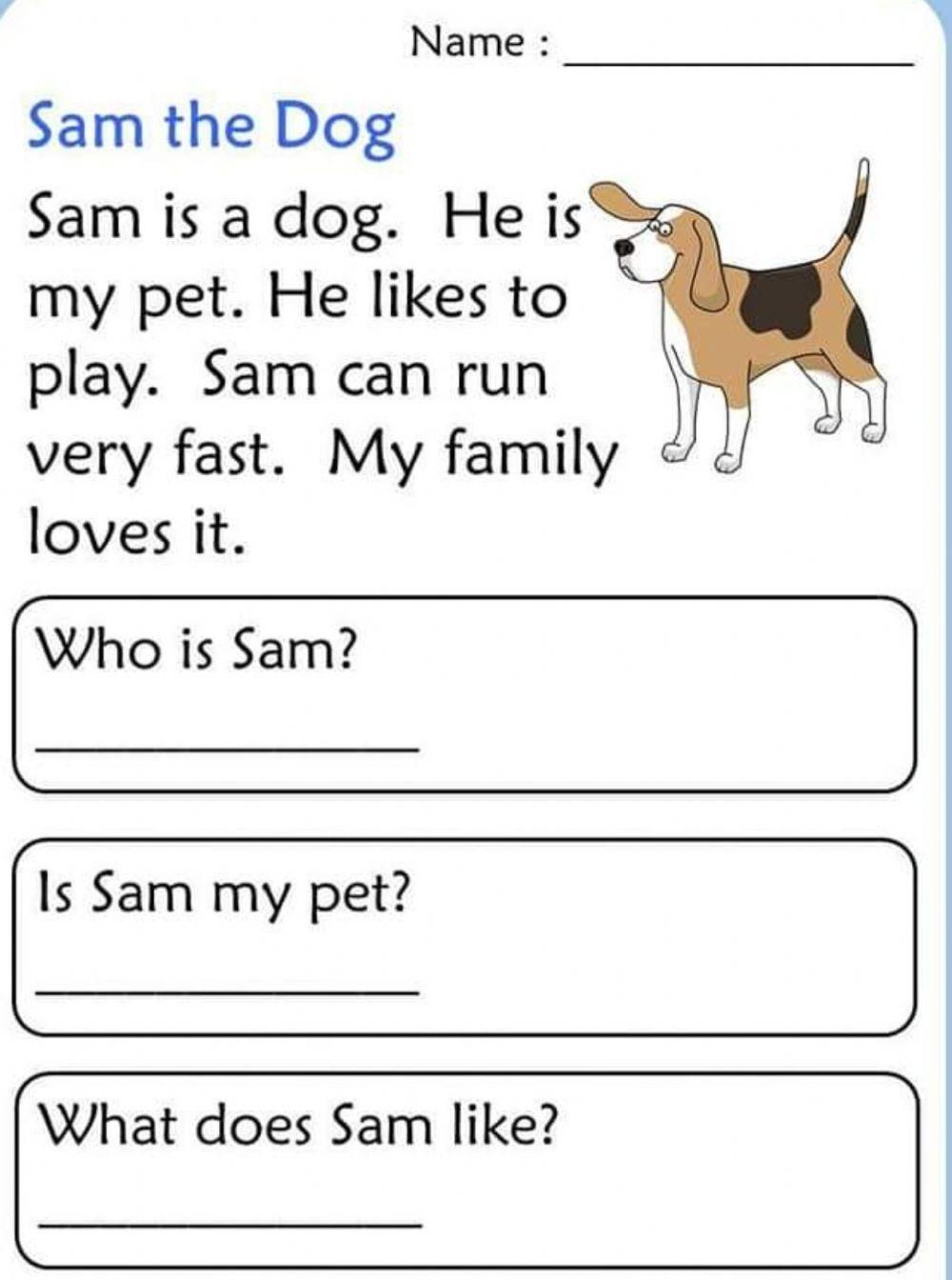Sam the dog