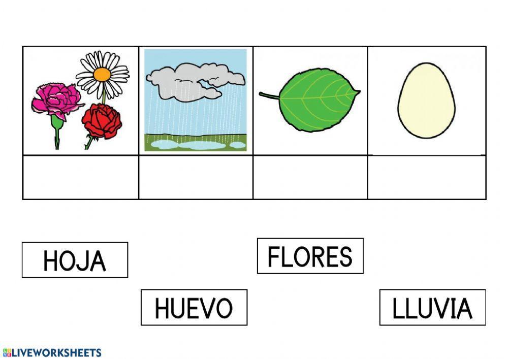 Lectura global primavera