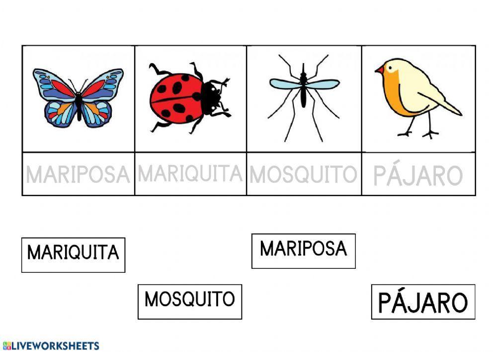 Lectura global primavera