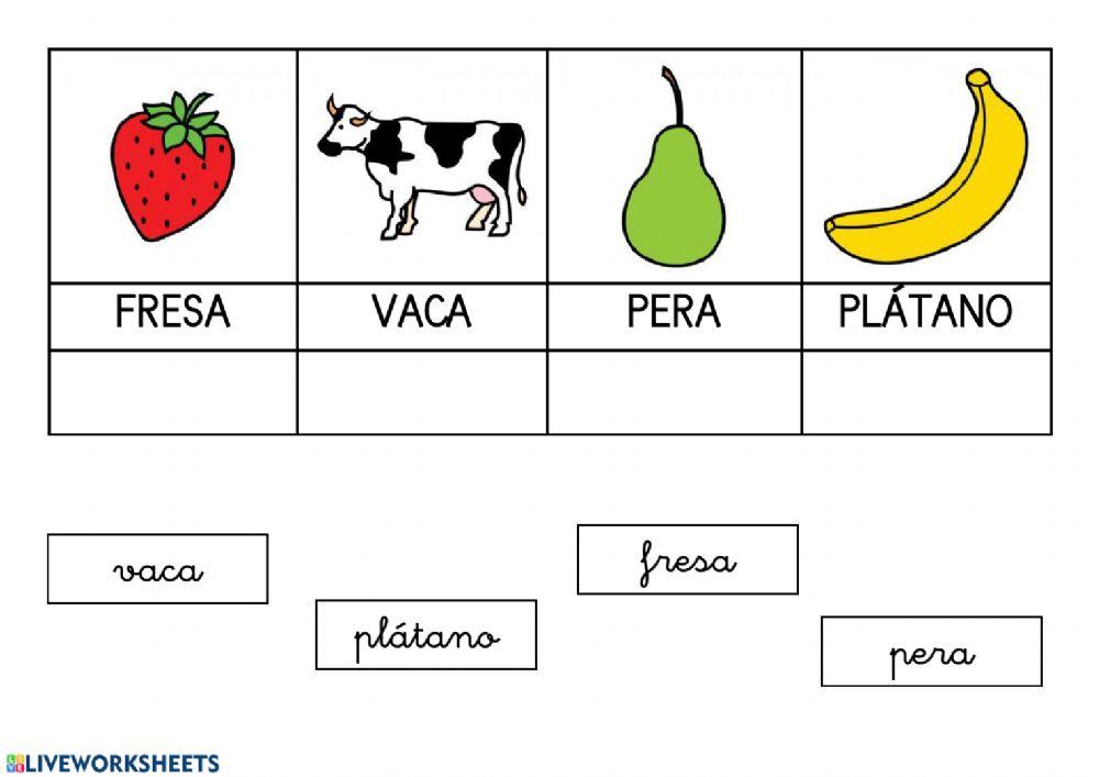 Mayúsculas y minúsculas