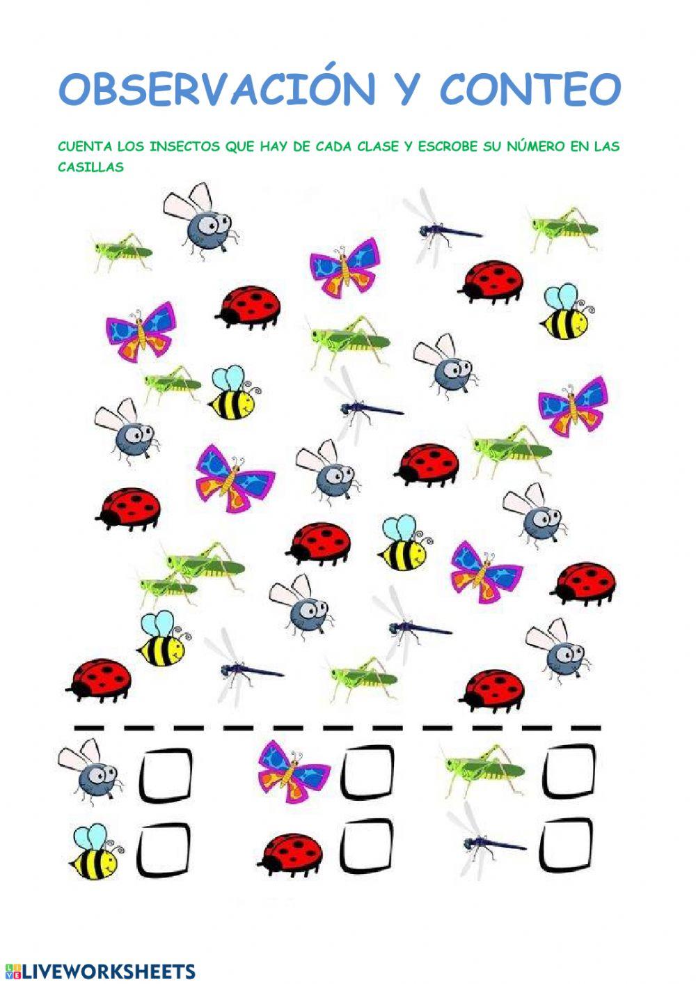 OBSERVACIÓN Y CONTEO