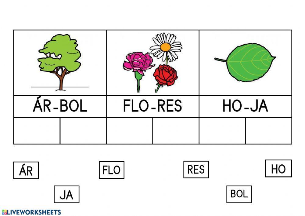 Luctura silábica primavera