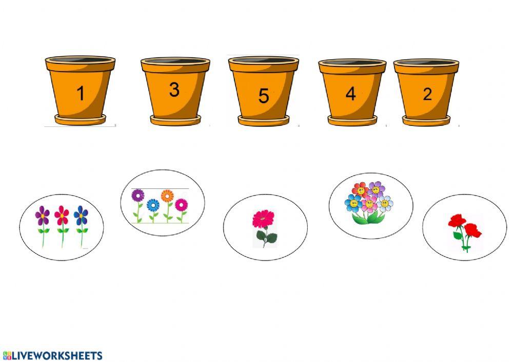 Να ενώσεις το σωστό αριθμό με τα λουλούδια