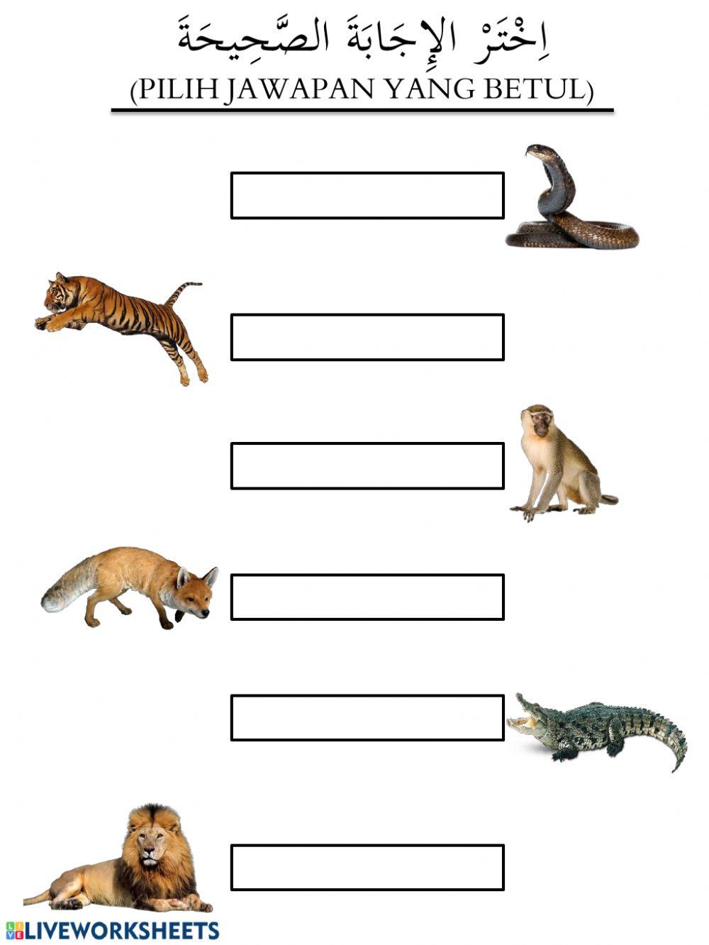 نحب الحيوانات