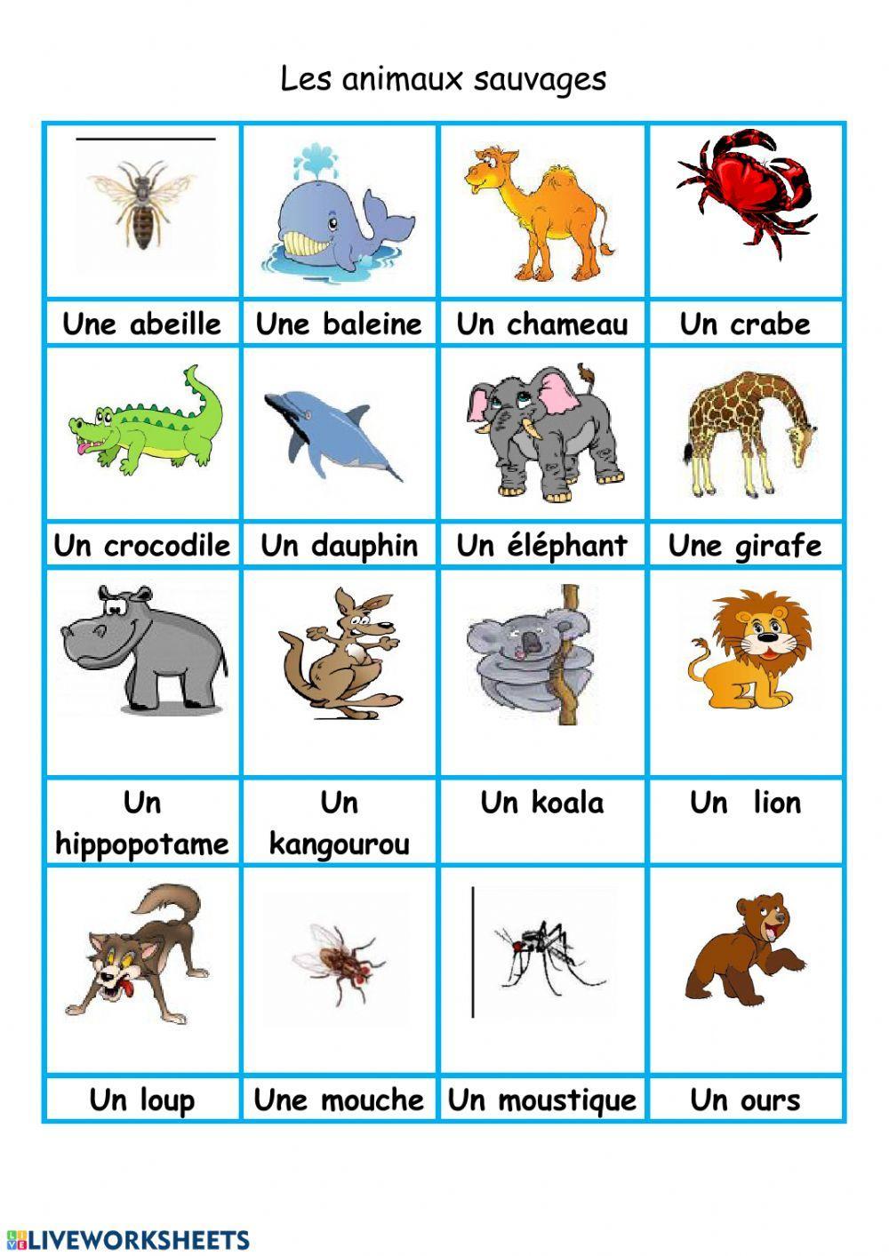 Les animaux sauvages