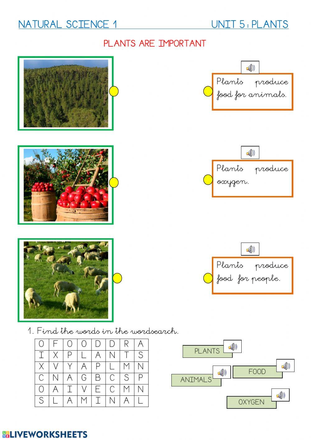 Uses of plants Uses of plants