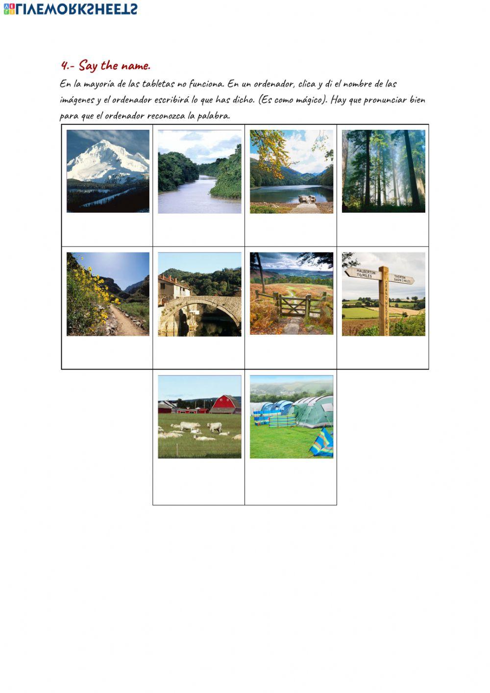 Tiger 4 Unit 6 Vocabulary