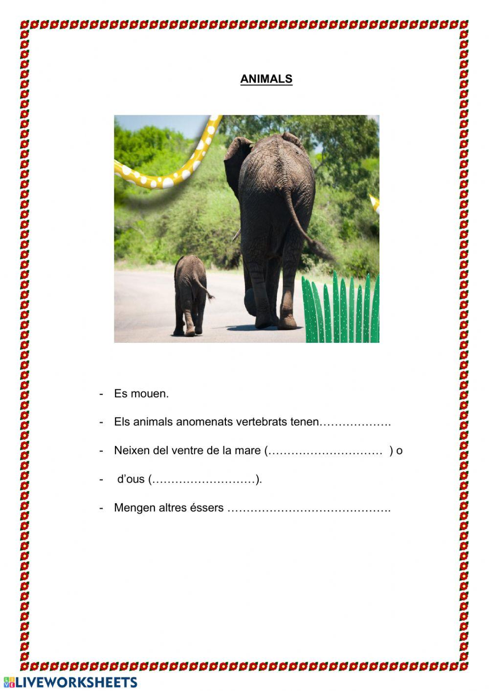 Característiques plantes i animals