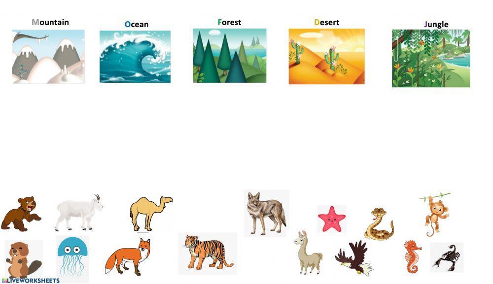 Animals Habitat - Matching