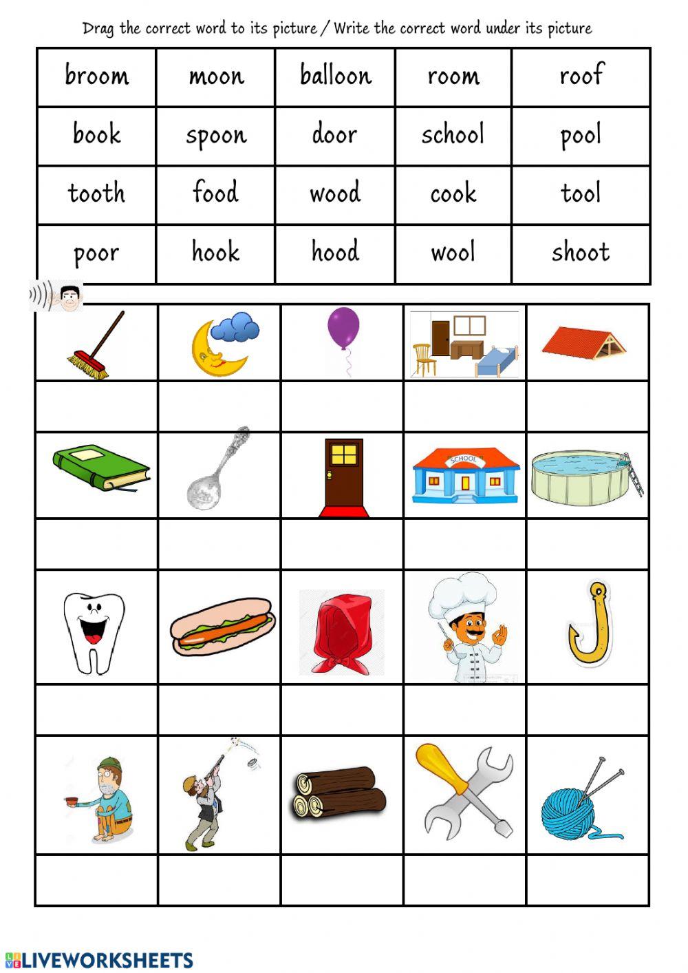 Grade 3 HL English Term 3 Week 14 Phonic oo Worksheet 1 Monday