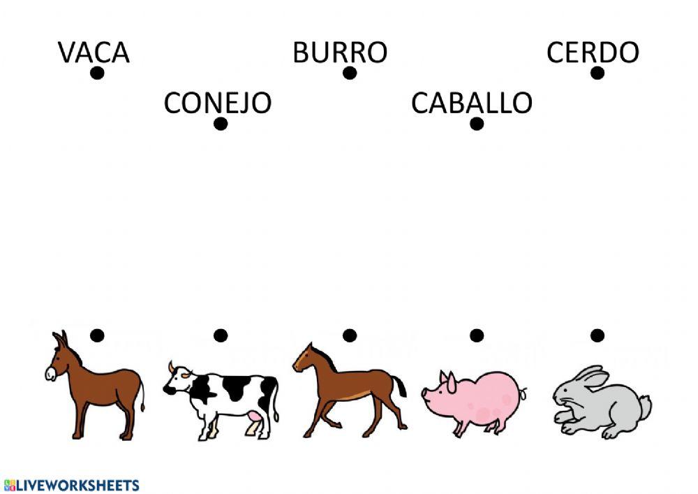 Lectura global - Animales