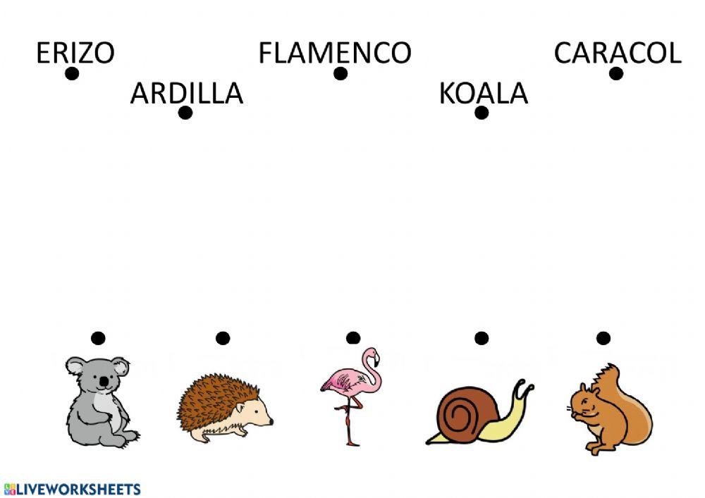 Lectura global - Animales