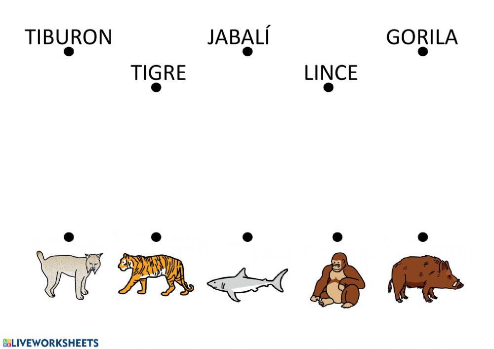 Lectura global - Animales