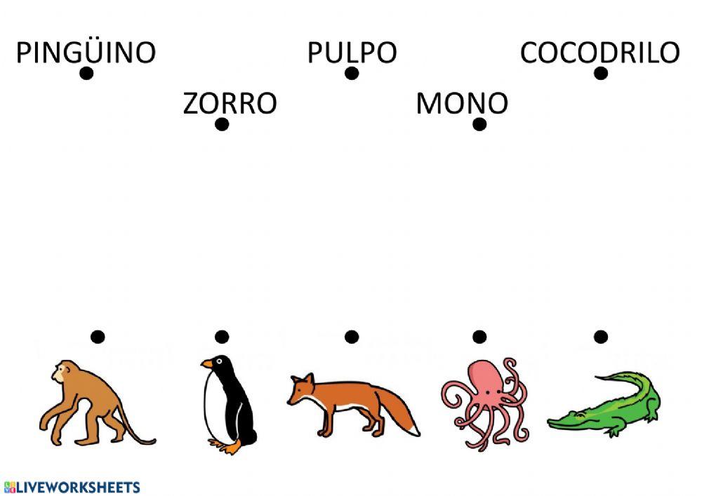 Lectura global - Animales