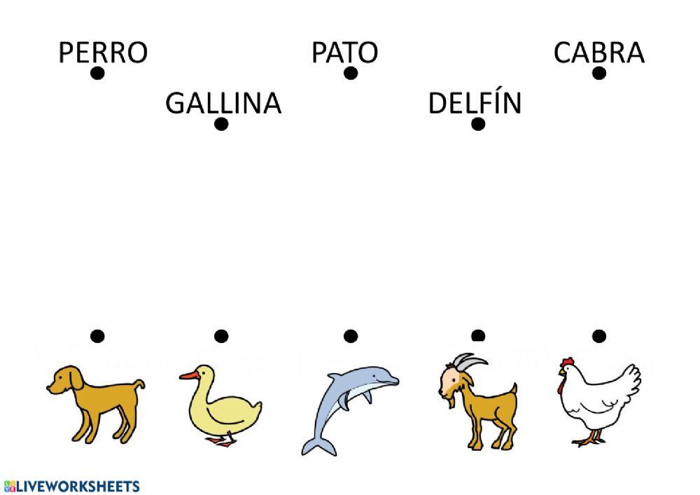 Lectura global - Animales