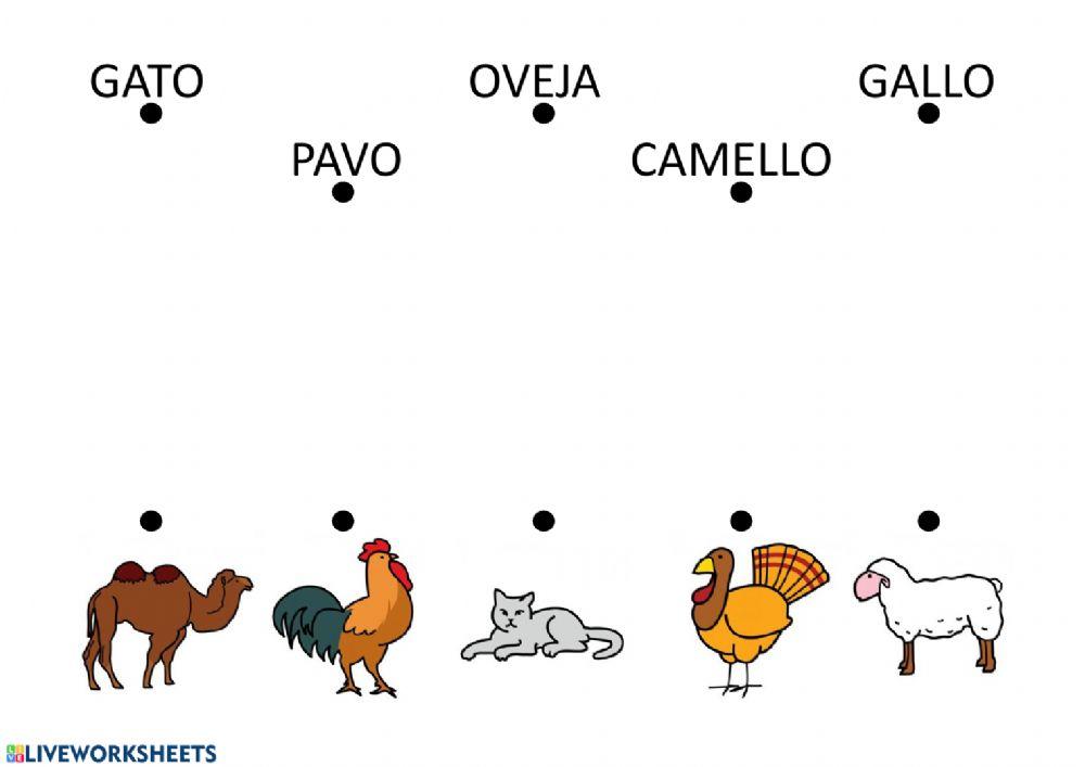 Lectura global - Animales