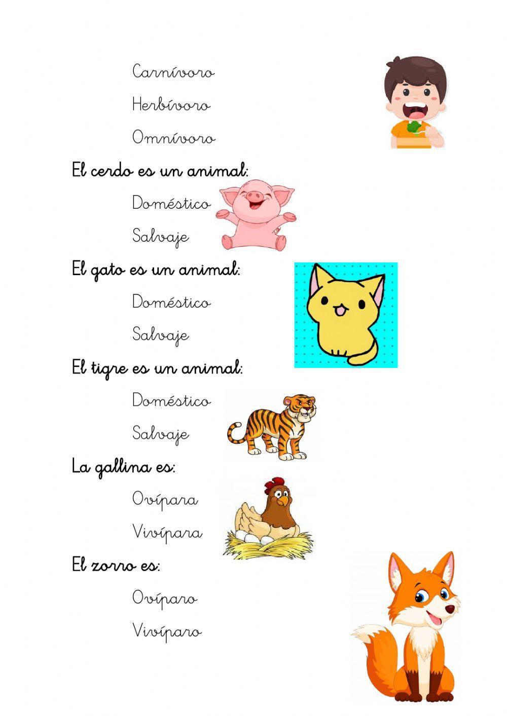 Repaso animales 1º primaria