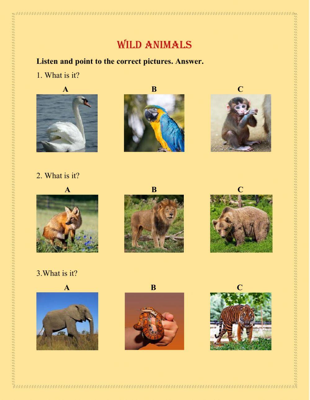 Wild animals - listening worksheet | Live Worksheets