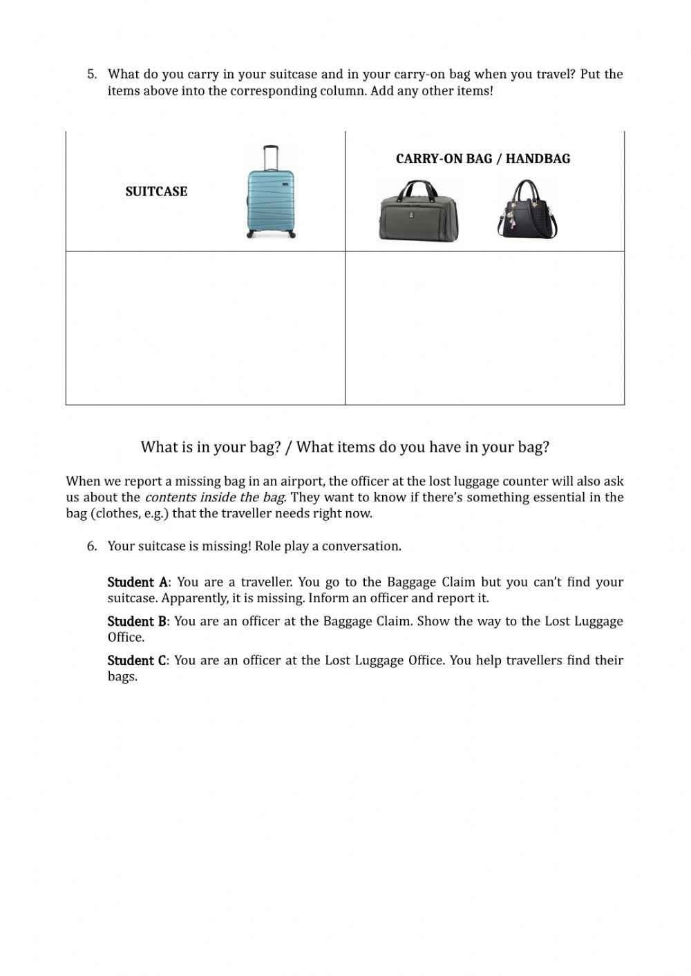 209383 Describe your suitcase Carla Mattioli