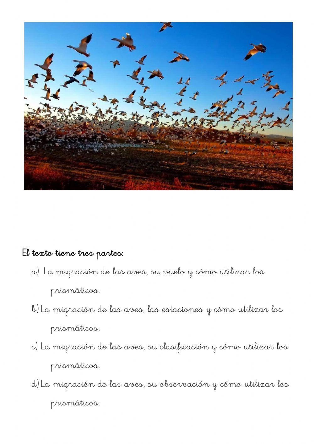 Las aves migratorias