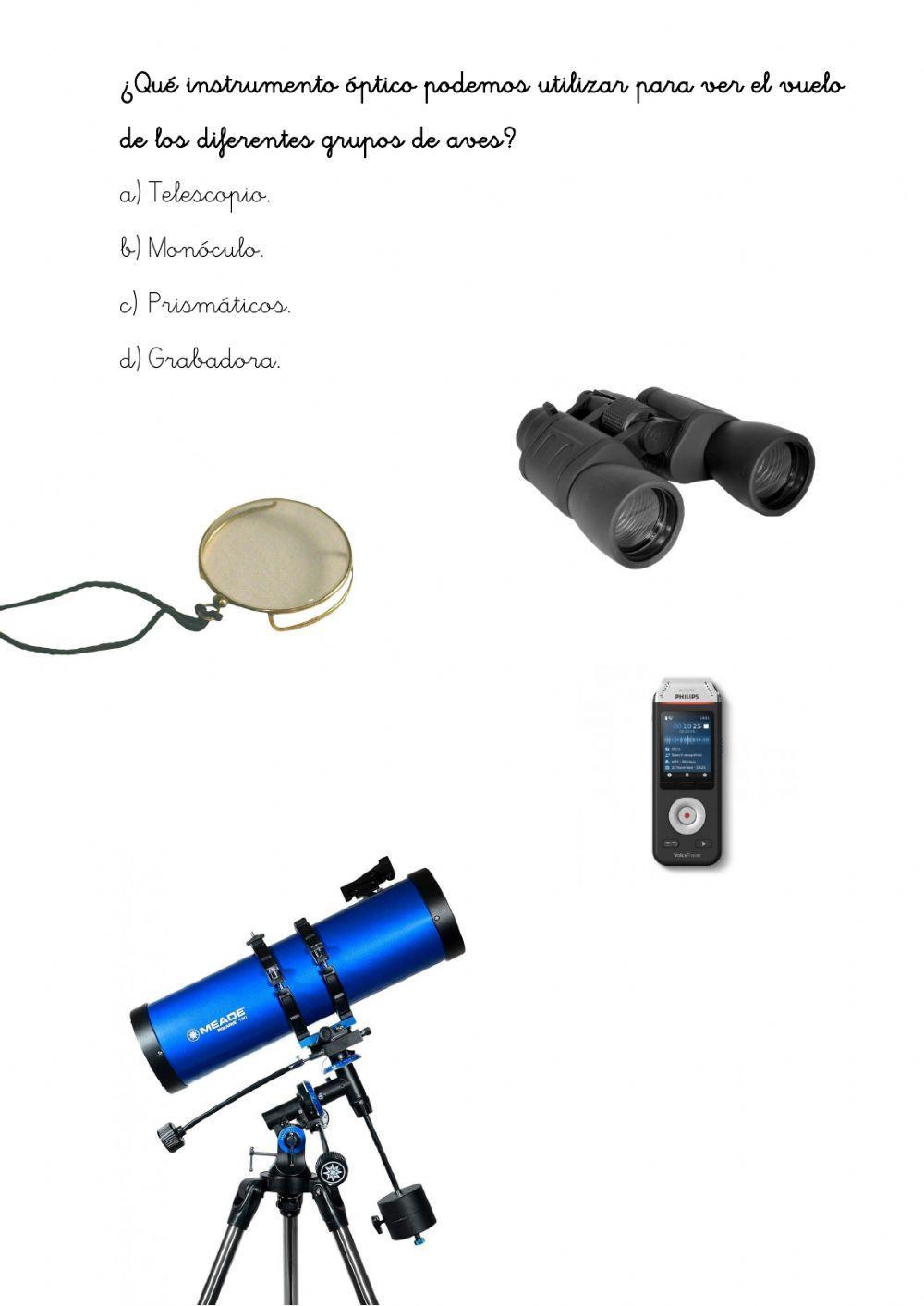 Las aves migratorias