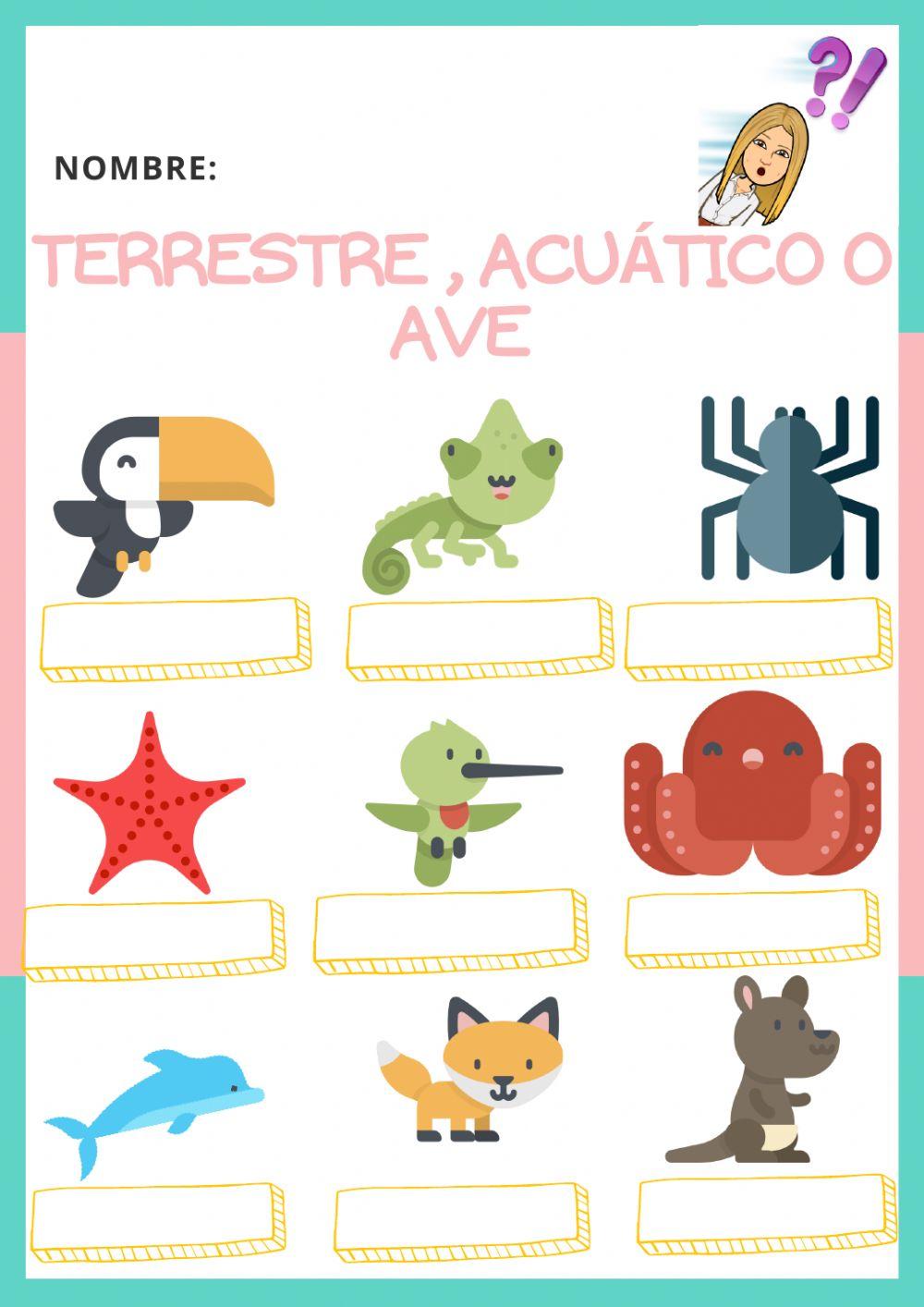 Terrestre-acuático-ave