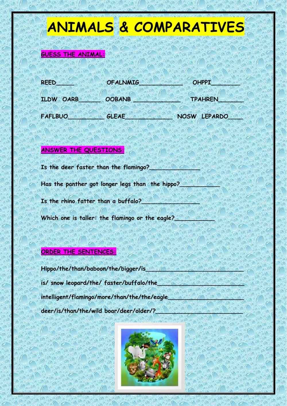 T5.u 3 animals and comp