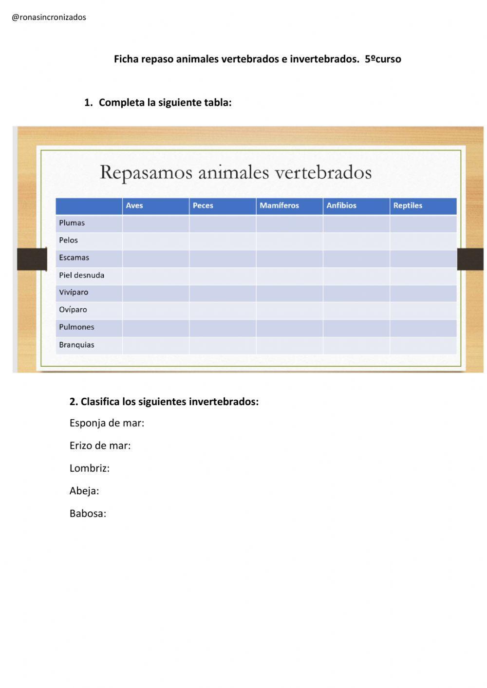 Repaso animales vertebrados e invertebrados