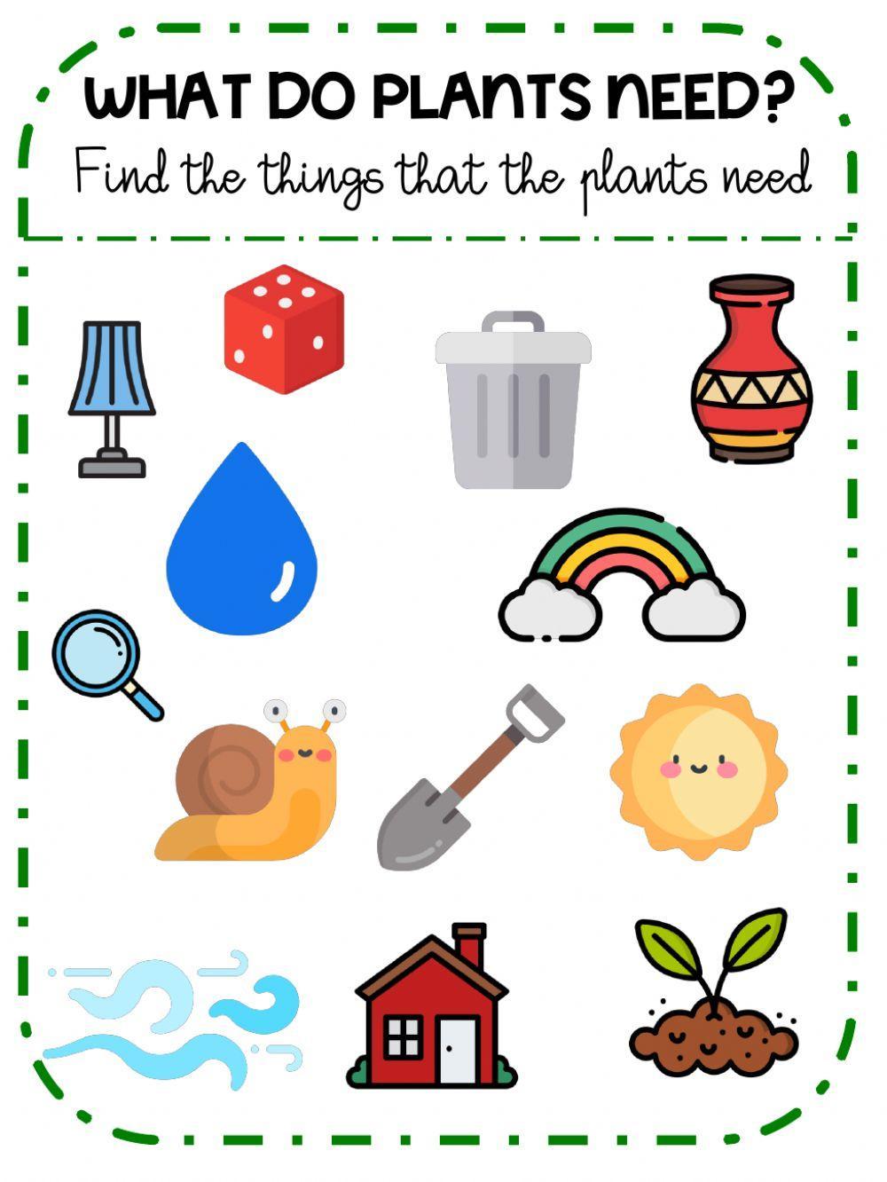 What do plants need? What do plants need?