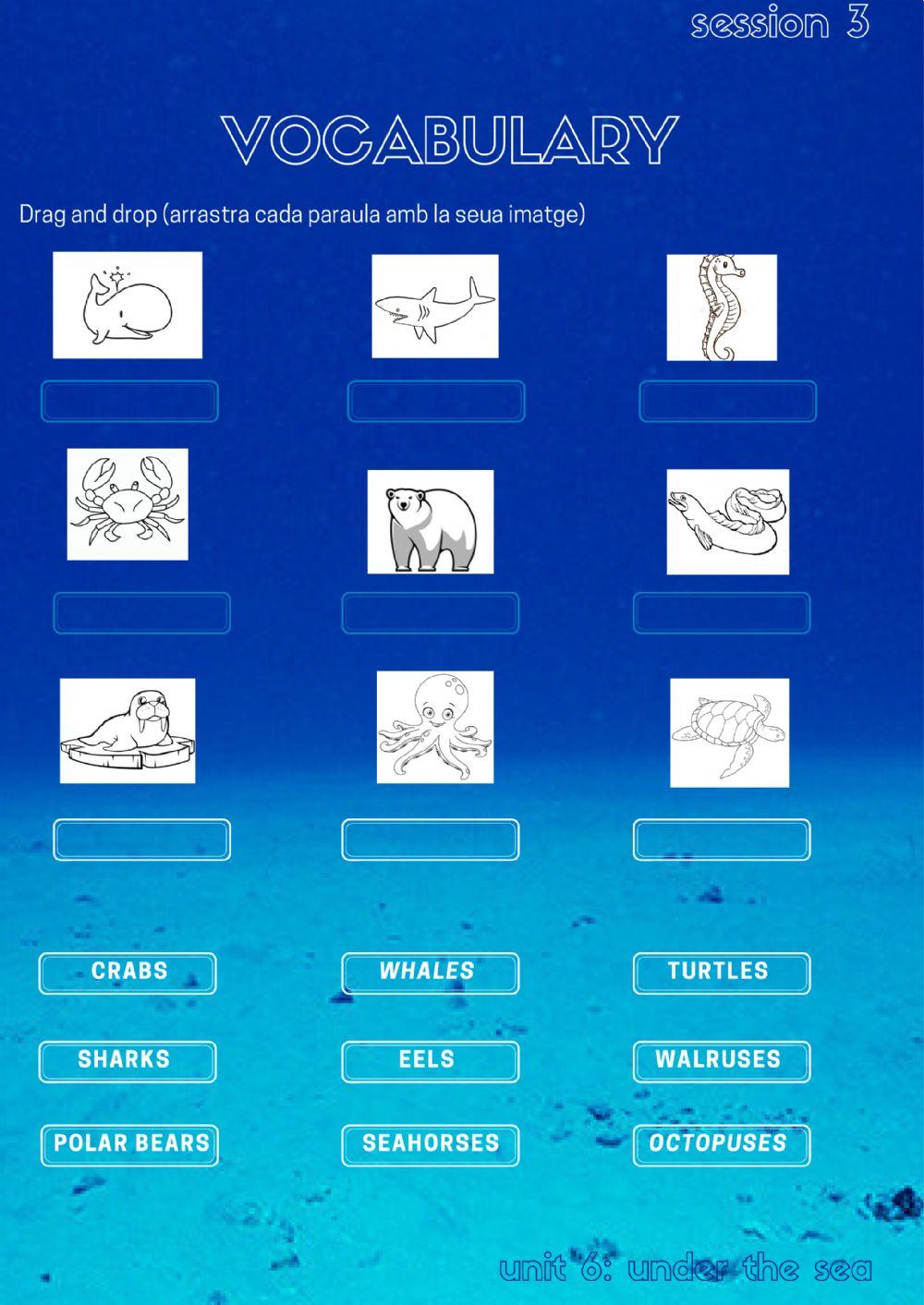 Under the sea: vocabulary