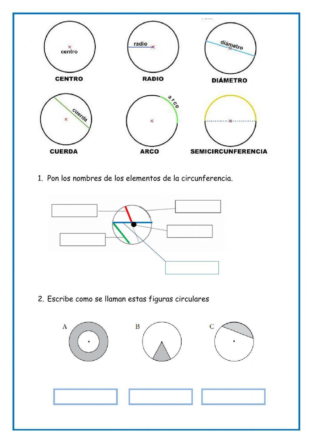 Circulo y circunferencia