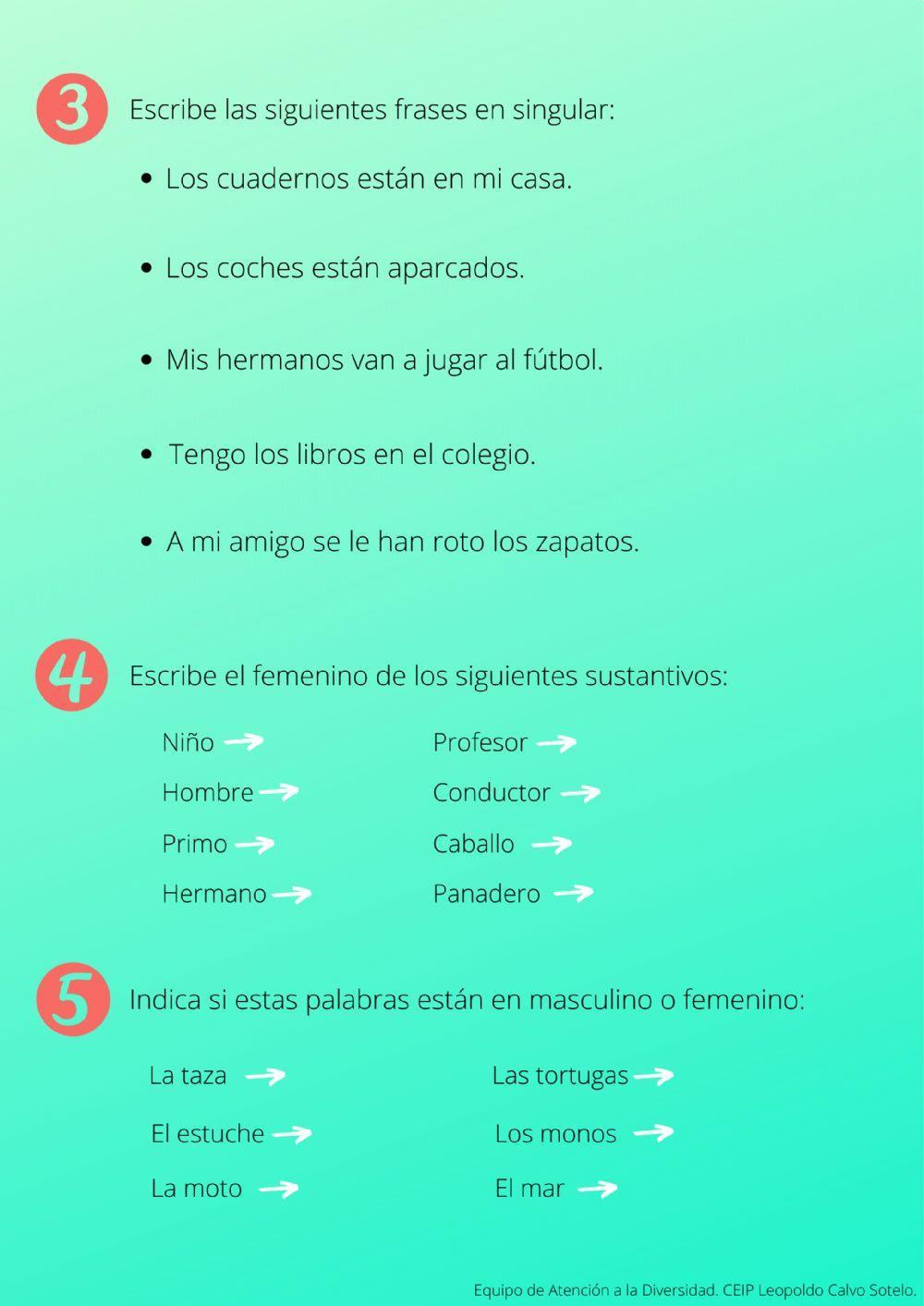 Los sustantivos: género y número