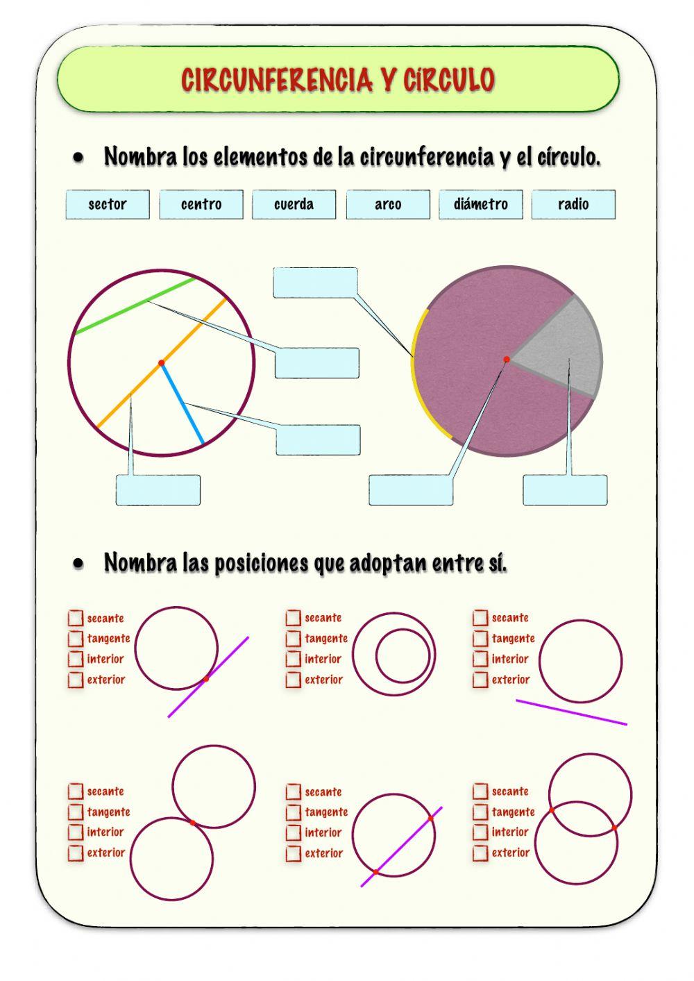 Circunferencia y círculo