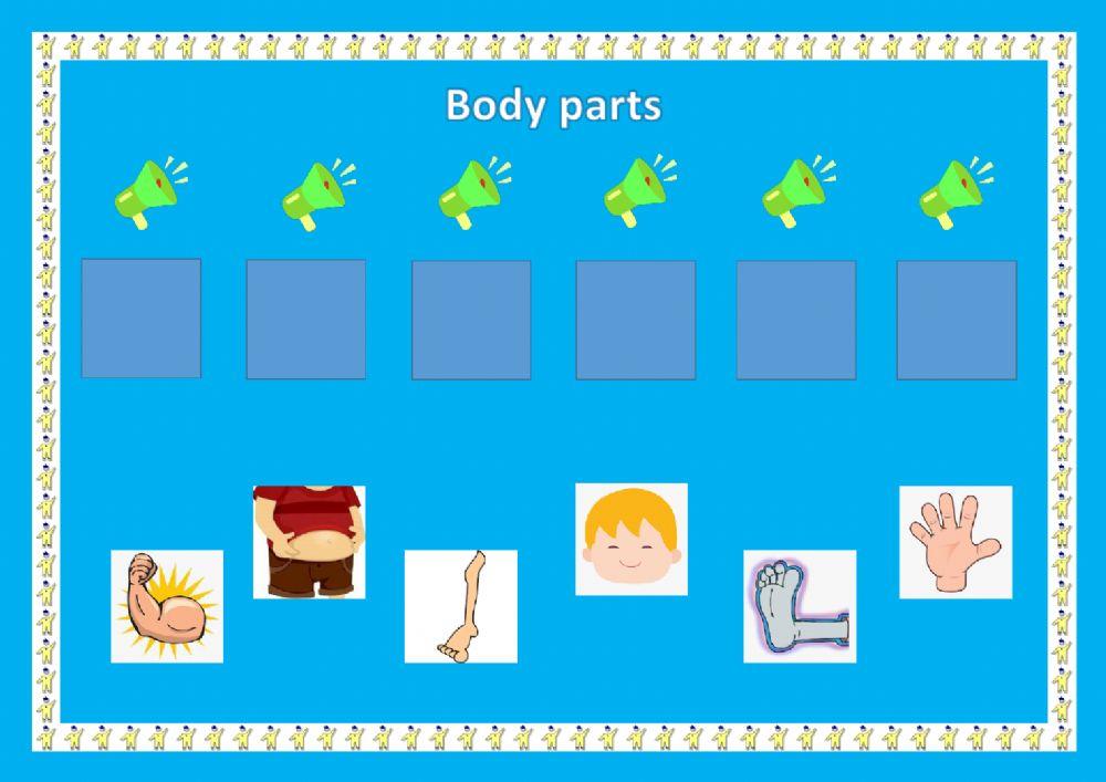 Body parts (drag and drop)