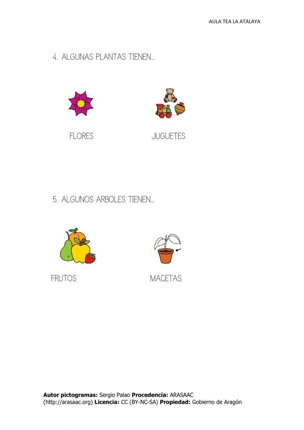 Comprension las plantas