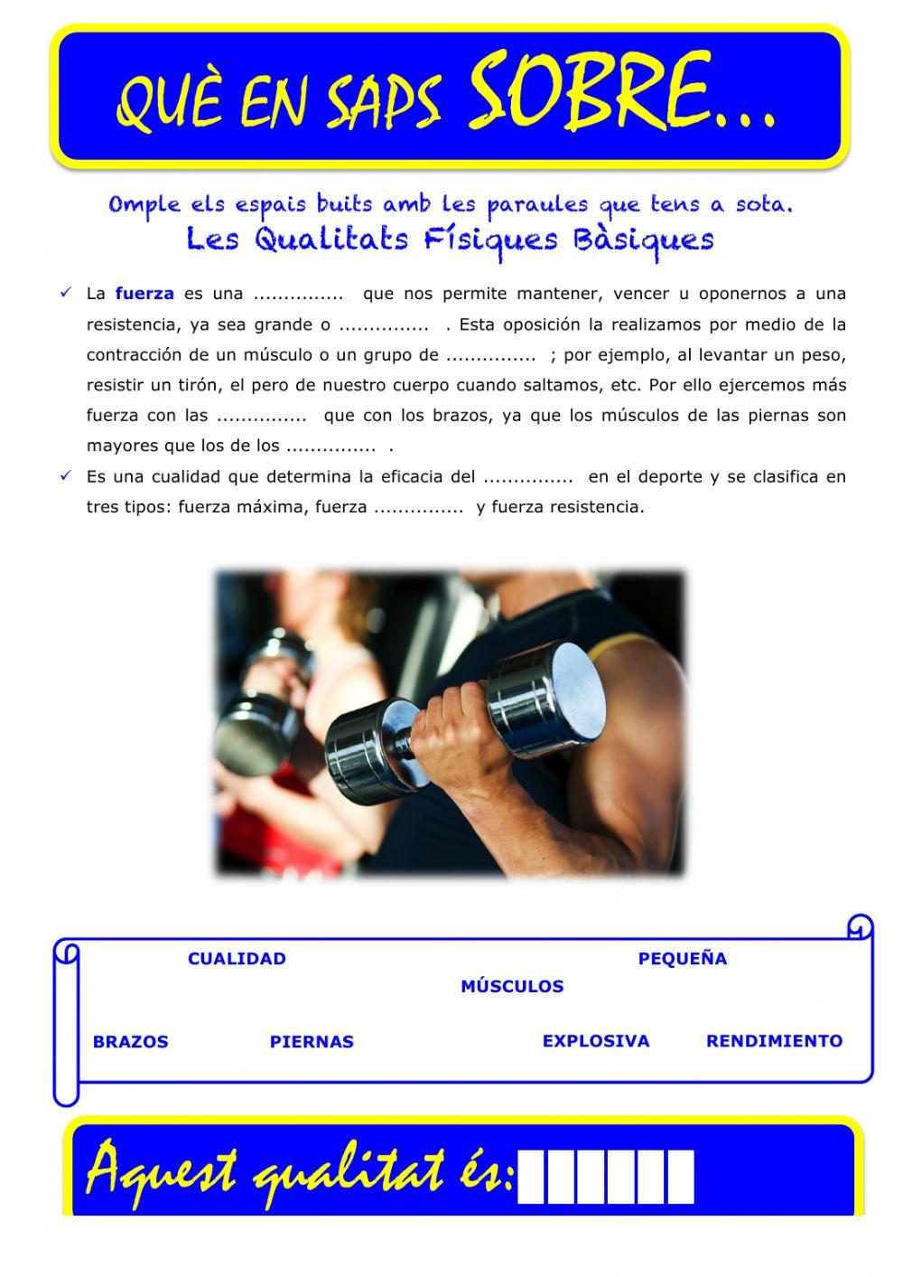 Que saps sobre... QFB-Força 02