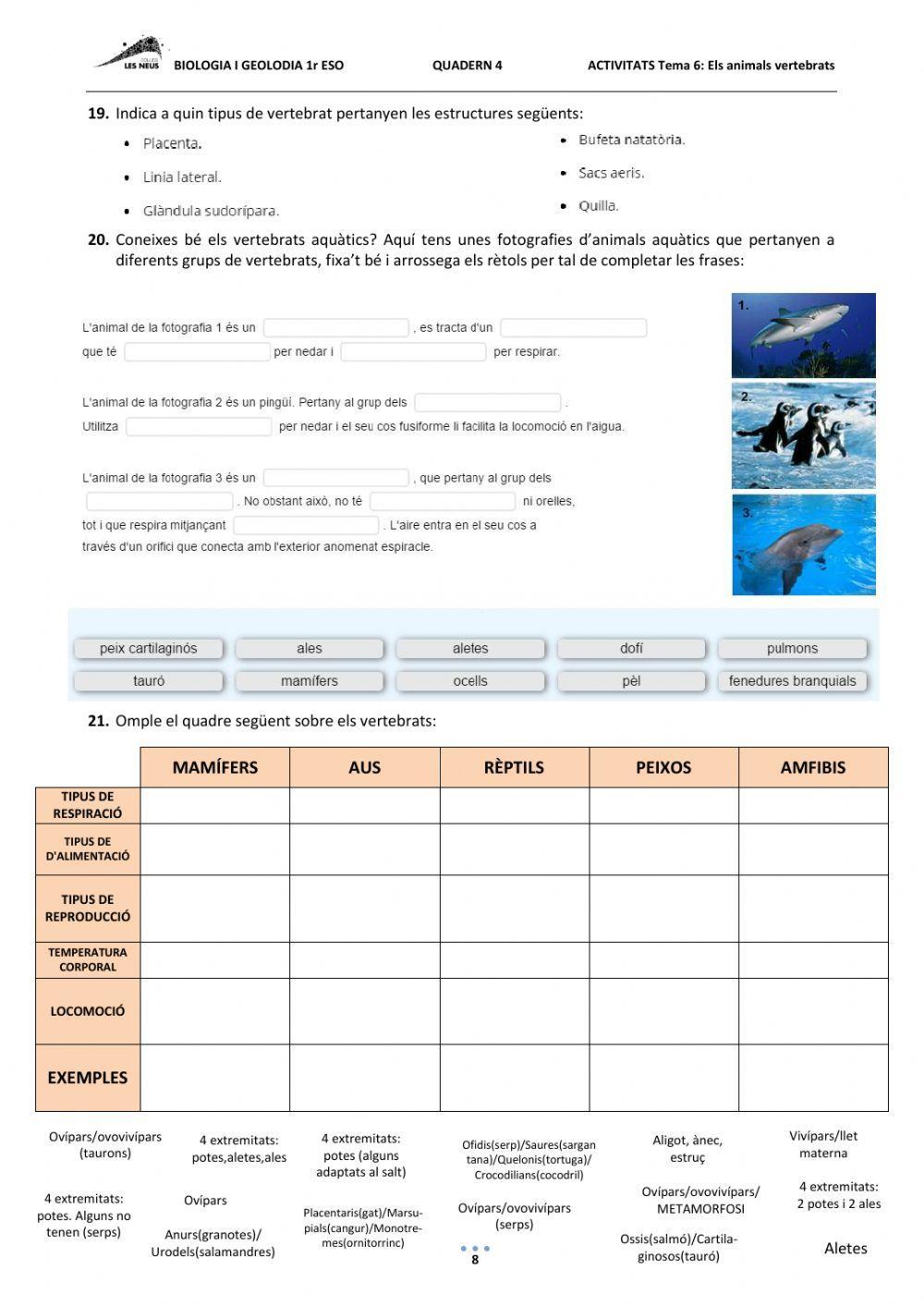 ELS ANIMALS VERTEBRATS. 1r ESO