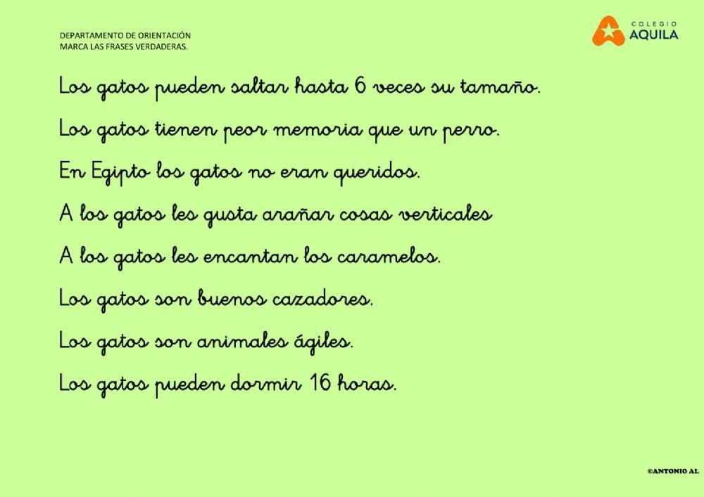 Marca las respuestas correctas de los gatos