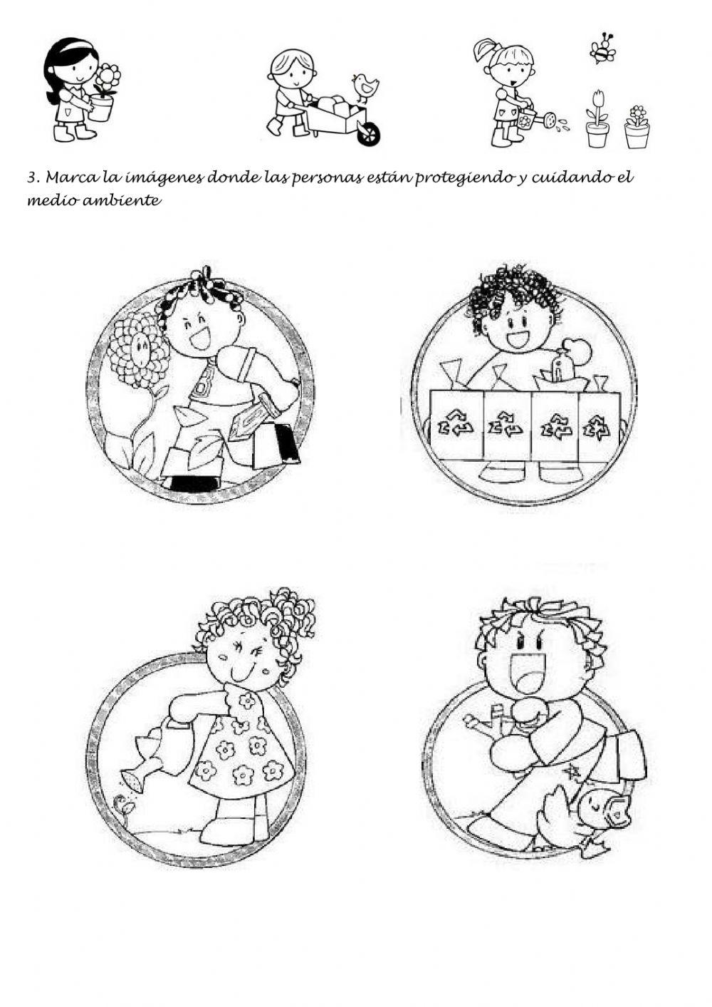 La Creación La Creación
