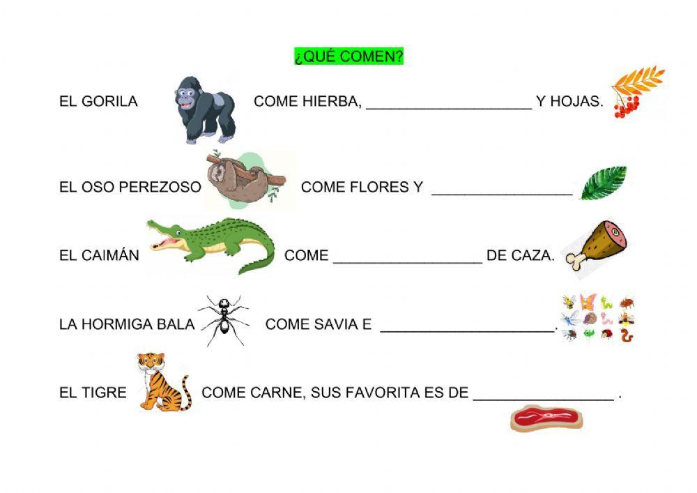 ¿Qué comen?
