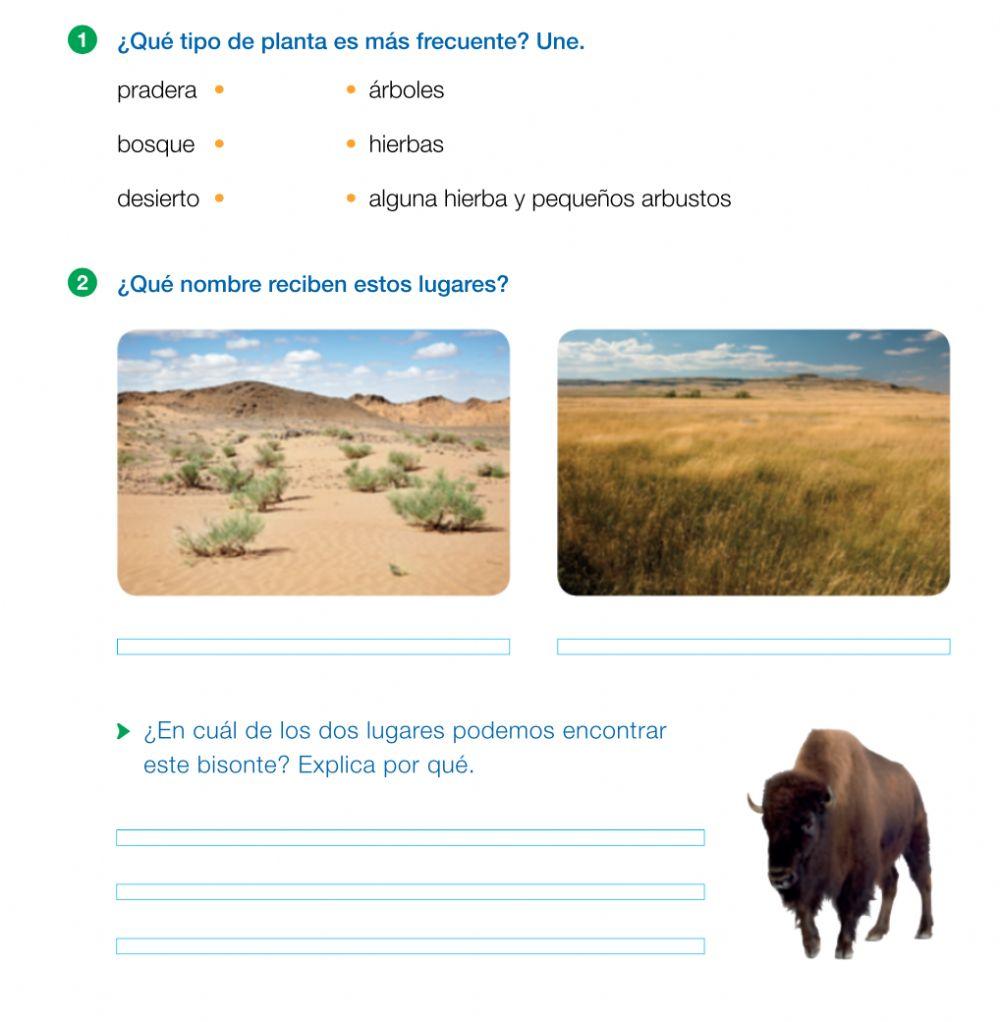 Los tipos de plantas según la zona.