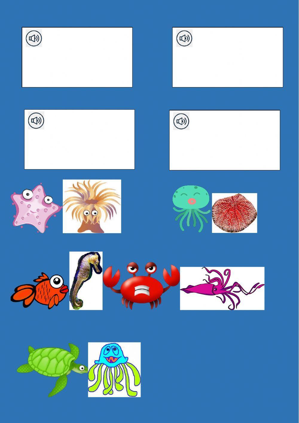 Animales marinos Animales marinos