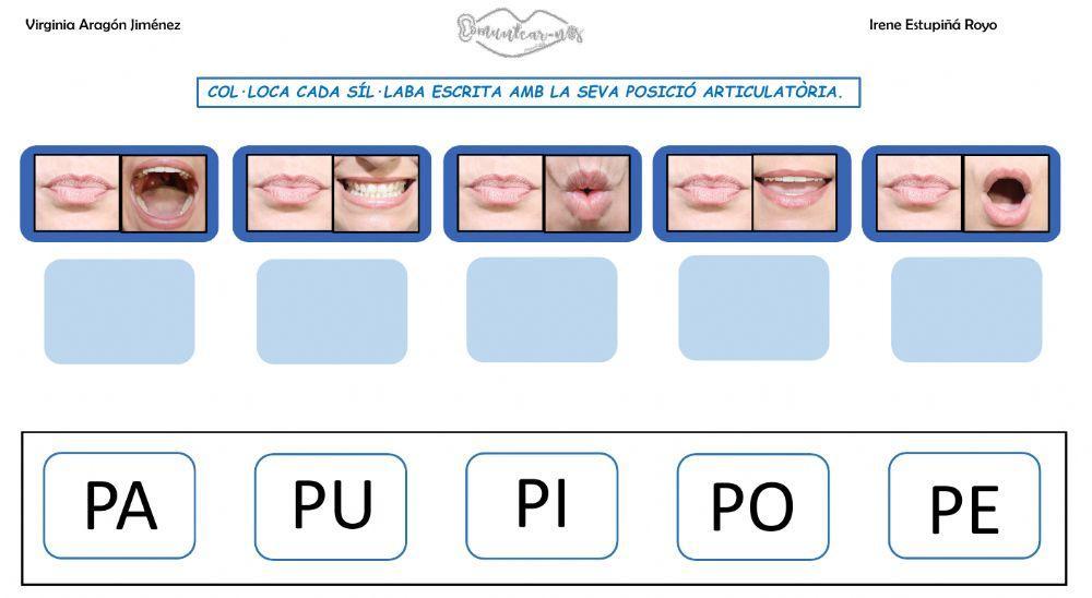 Associació articulema-grafema P