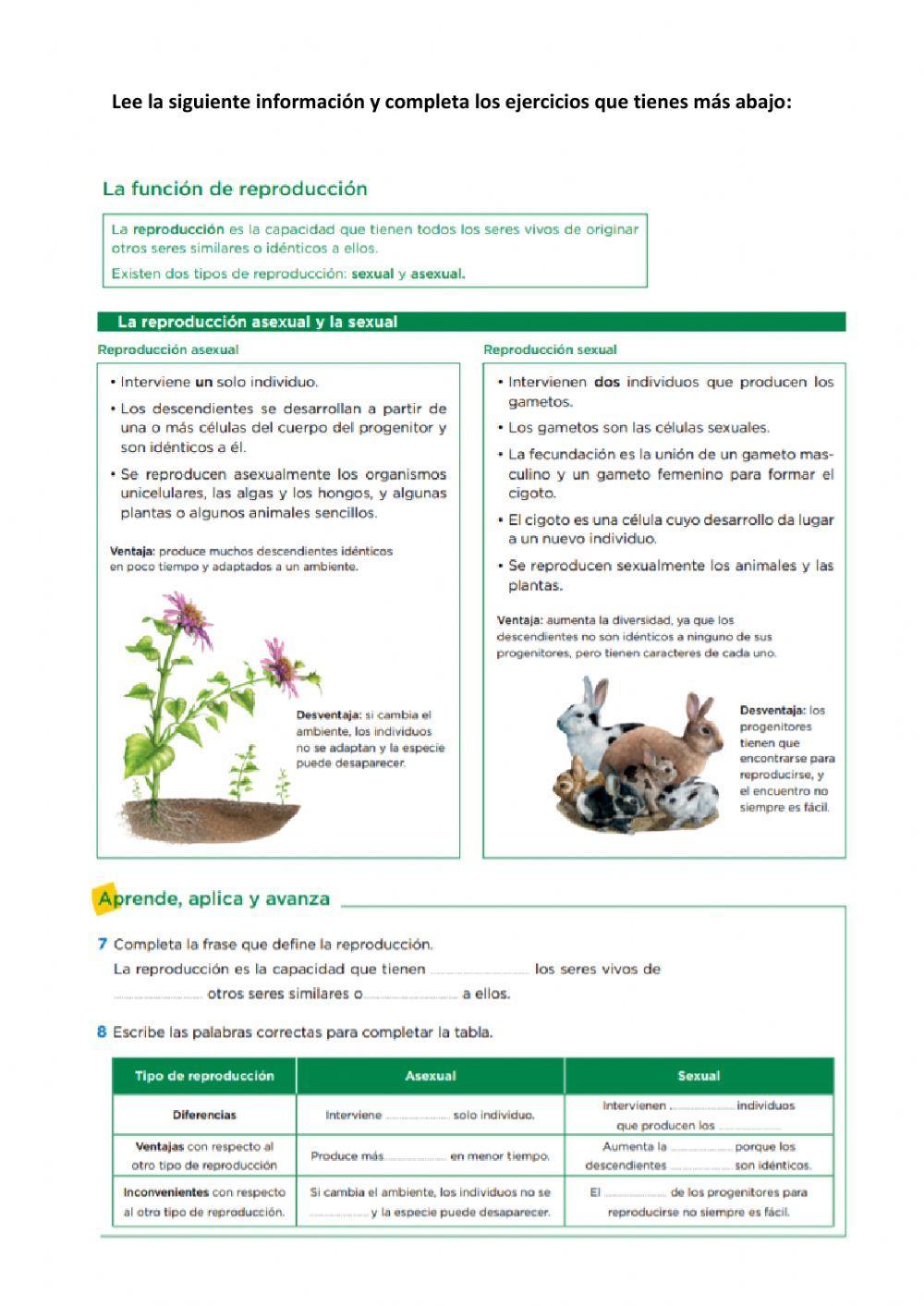 Funciones vitales y 5 reinos