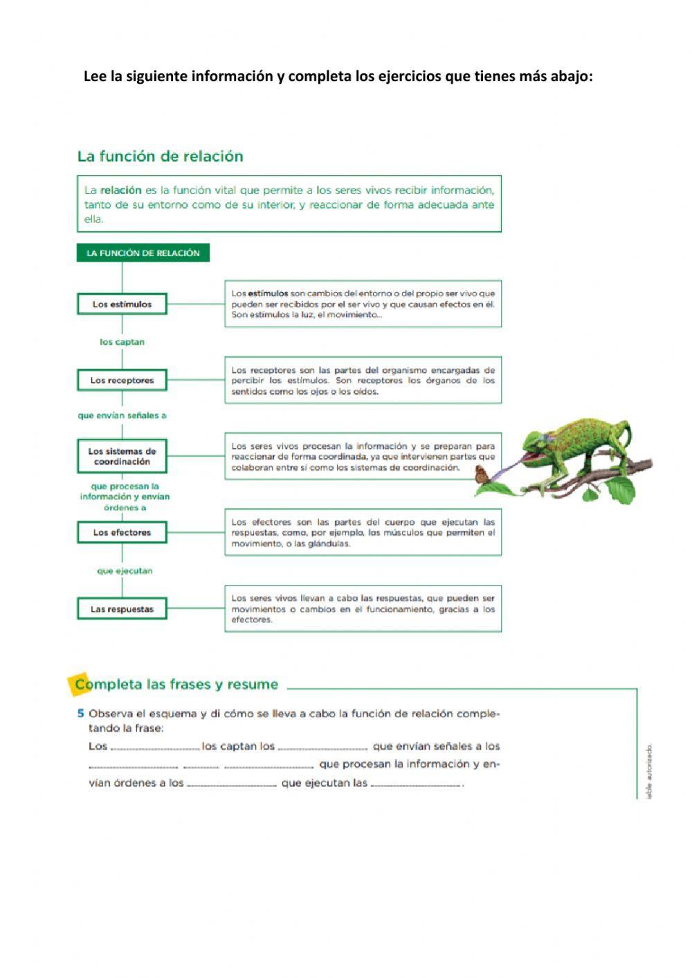 Funciones vitales y 5 reinos