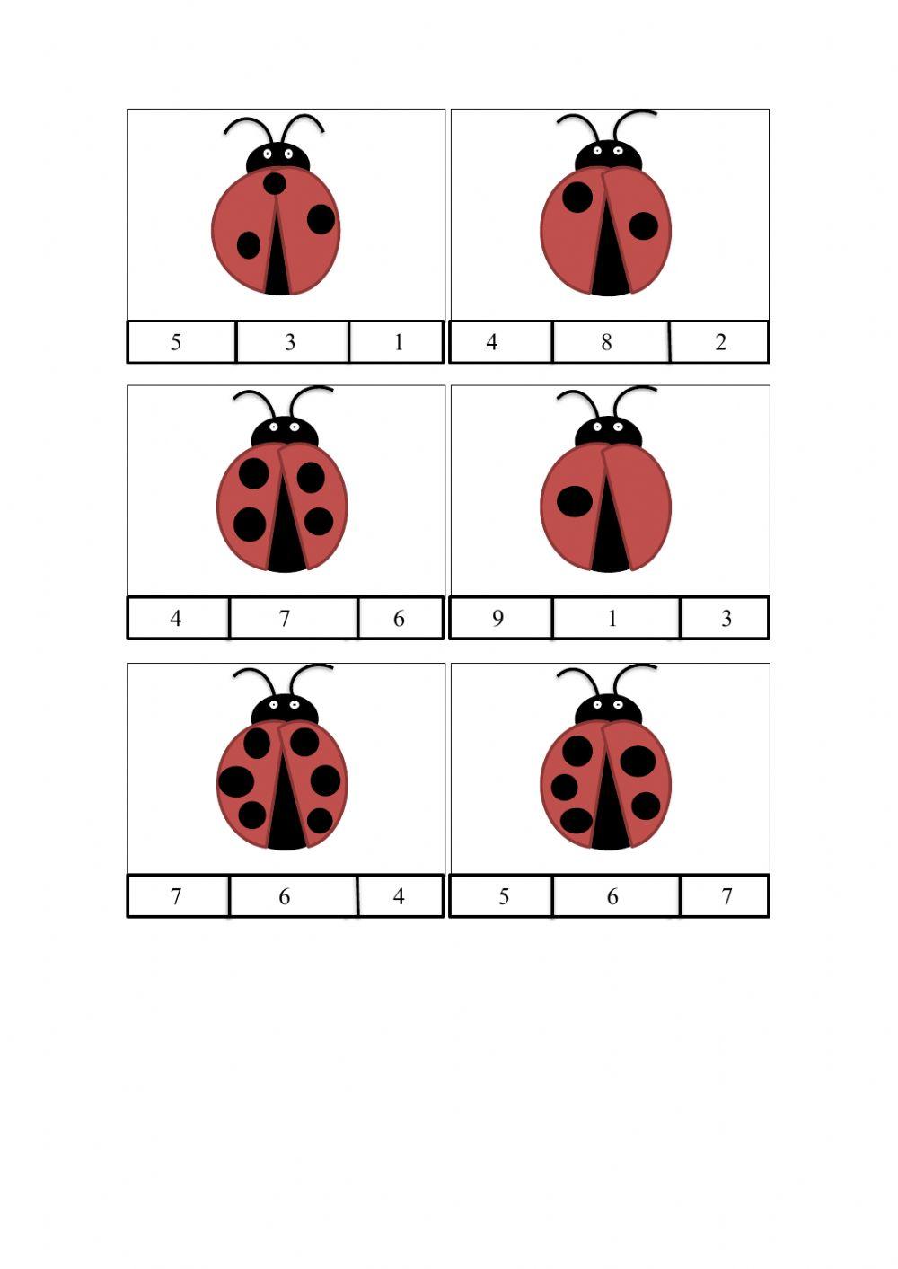 Πασχαλίτσα