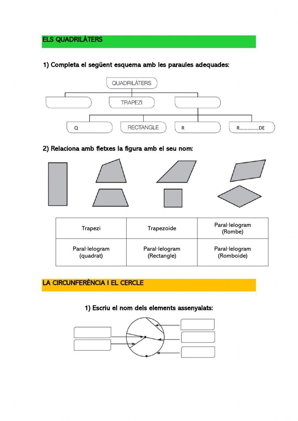 Els quadrilàters i la circumferència