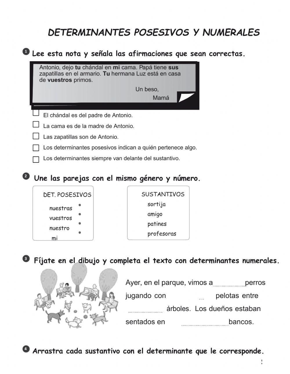 Determinantes posesivos y numerales