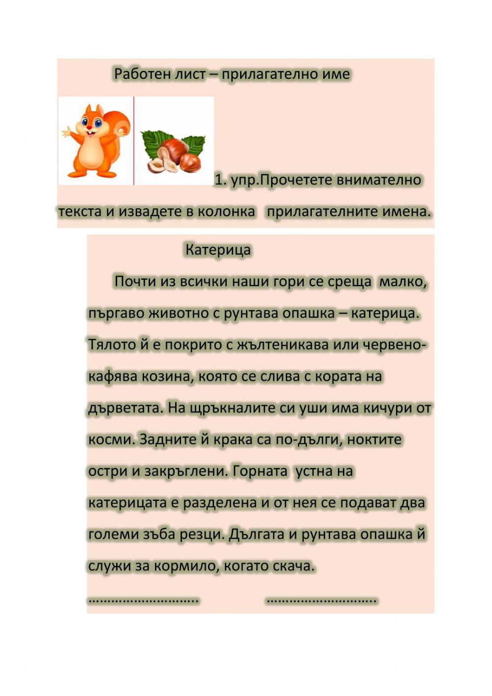 Прилагателни имена упражнение 213880 | Margarita Andonova